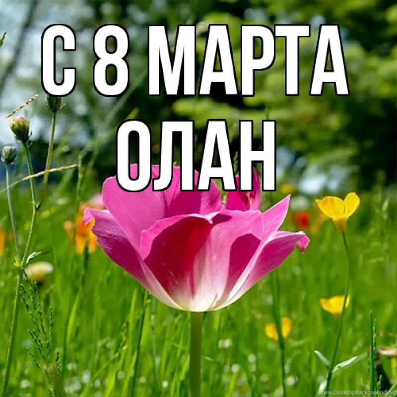 Картинка C 8 МАРТА, Олан