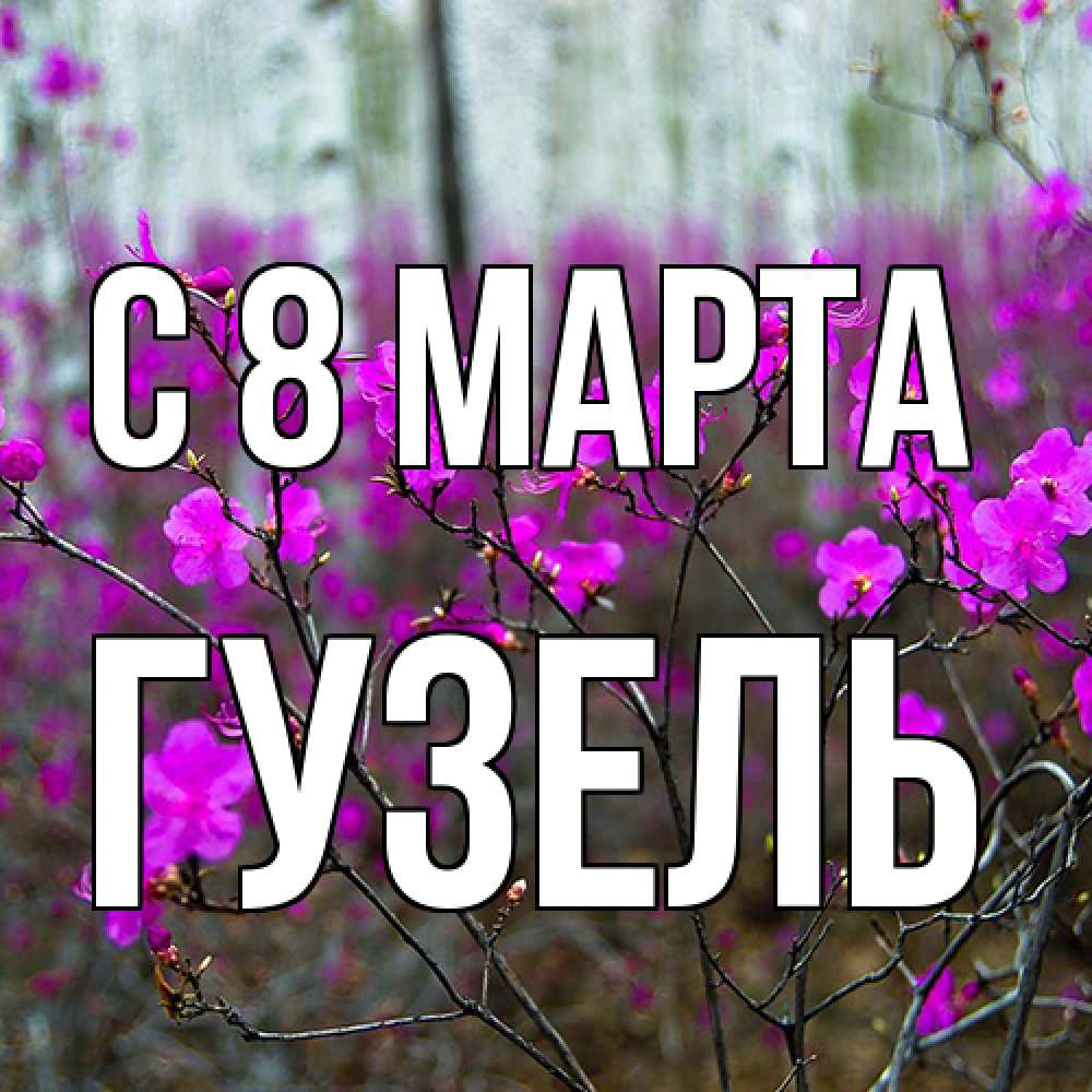 Открытка на каждый день с именем, Гузель C 8 МАРТА дикие цветы Прикольная открытка с пожеланием онлайн скачать бесплатно 