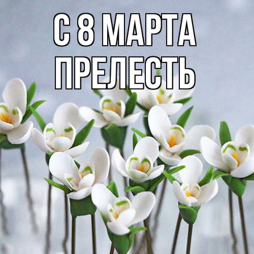 Открытка на каждый день с именем, прелесть C 8 МАРТА весенние цветы Прикольная открытка с пожеланием онлайн скачать бесплатно 