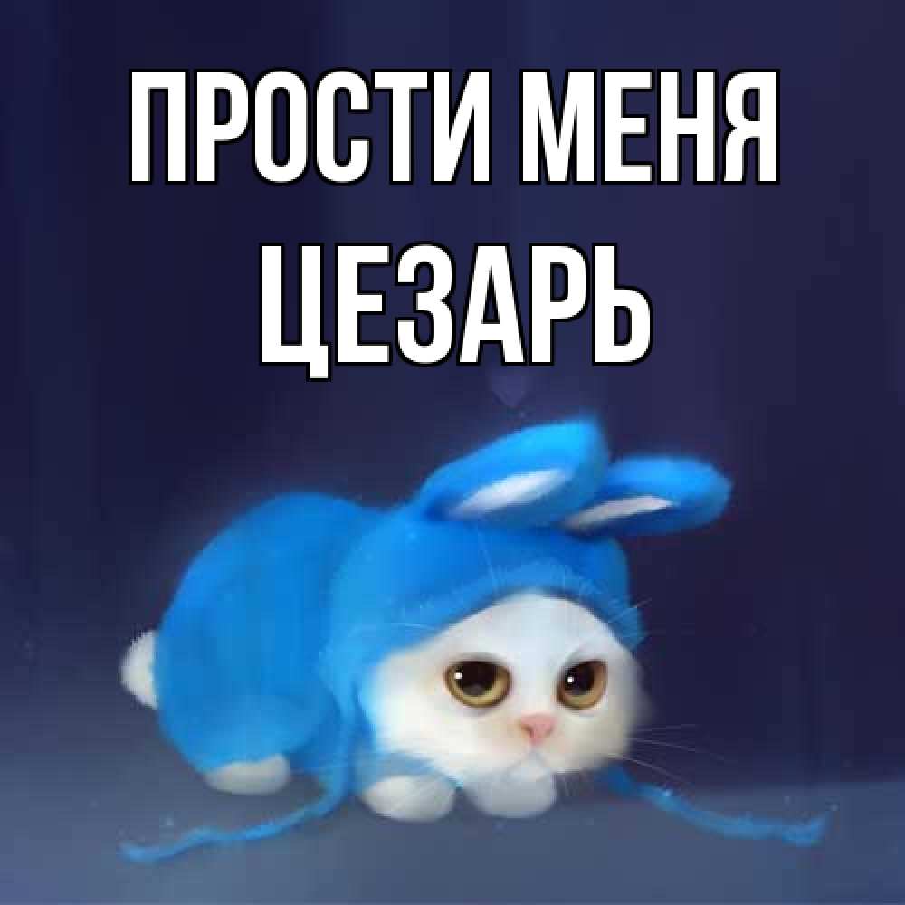 Открытка на каждый день с именем, Цезарь Прости меня невинный котозай просит прощения Прикольная открытка с пожеланием онлайн скачать бесплатно 
