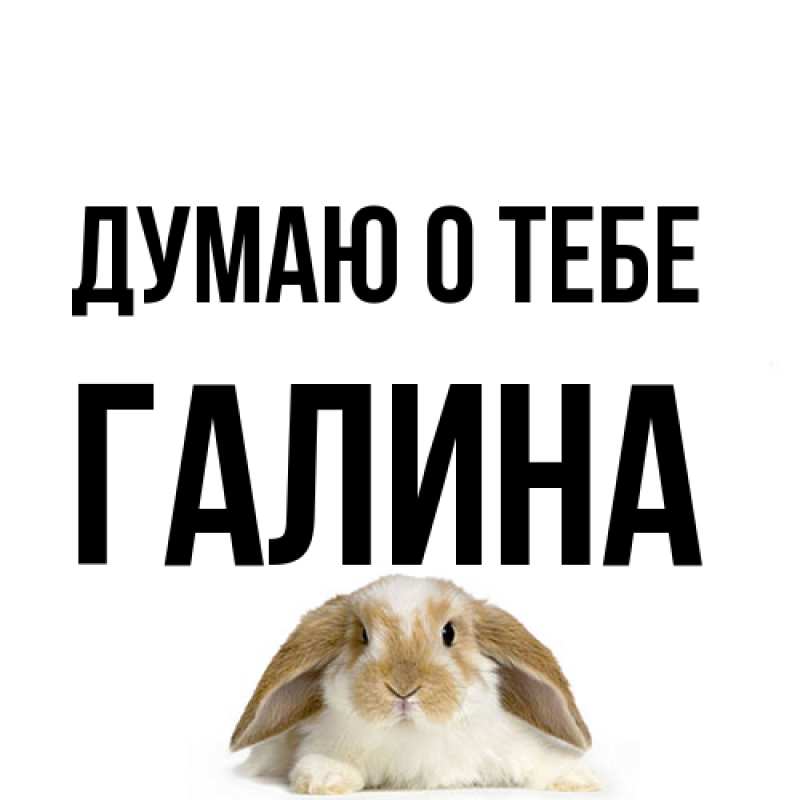 Картинка Думаю о тебе, галина