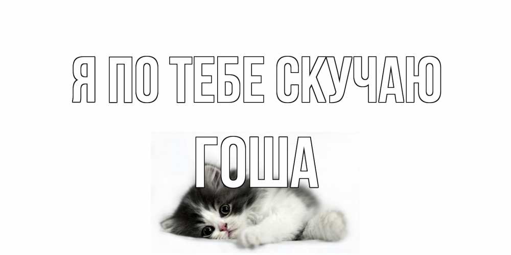 Открытка на каждый день с именем, Гоша Я по тебе скучаю кот, скука Прикольная открытка с пожеланием онлайн скачать бесплатно 