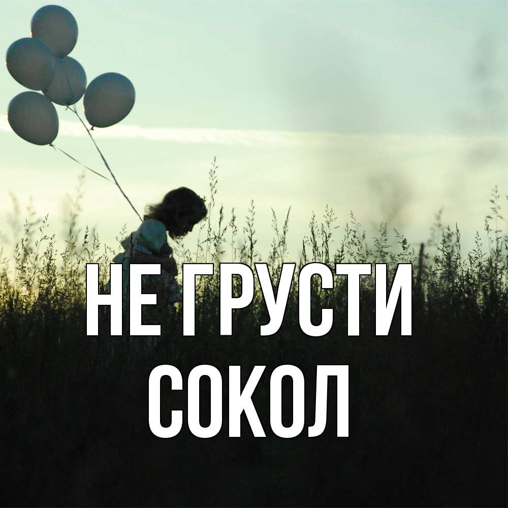 Открытка на каждый день с именем, Сокол Не грусти ребенок Прикольная открытка с пожеланием онлайн скачать бесплатно 
