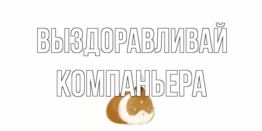 Открытка на каждый день с именем, Компаньера Выздоравливай морская свинка на открытке с пожеланиями не болеть Прикольная открытка с пожеланием онлайн скачать бесплатно 