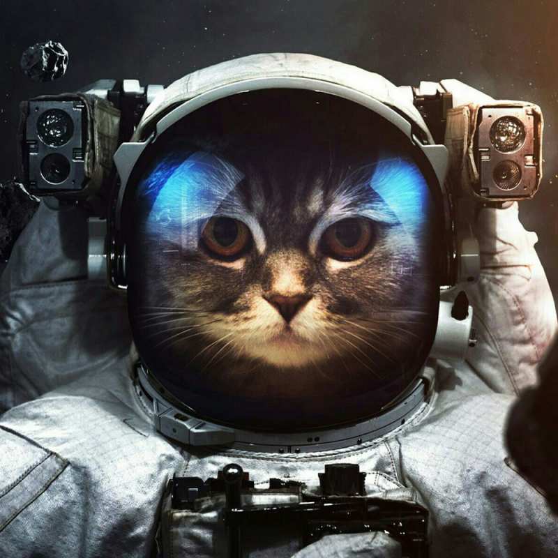 Картинка Счастливого пути, Елисей