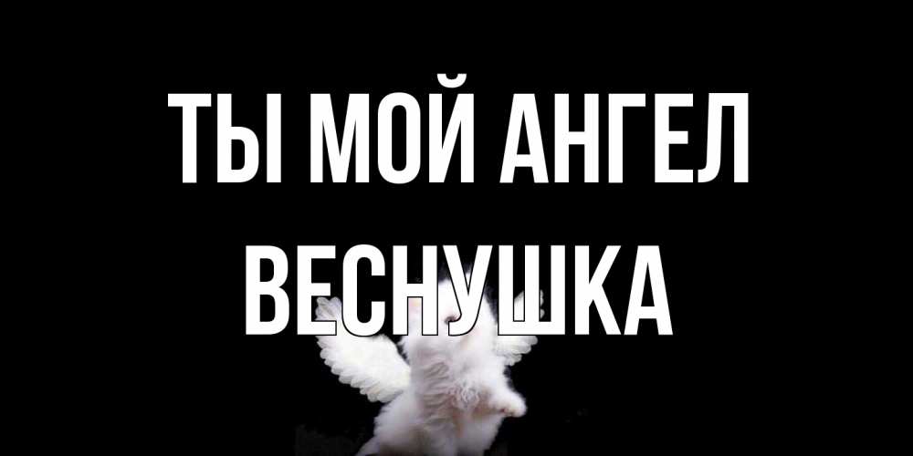 Открытка на каждый день с именем, веснушка Ты мой ангел Кот ангел Прикольная открытка с пожеланием онлайн скачать бесплатно 
