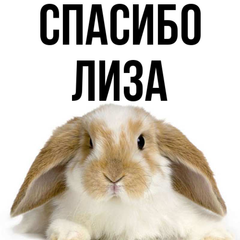 Картинка Спасибо, Лиза