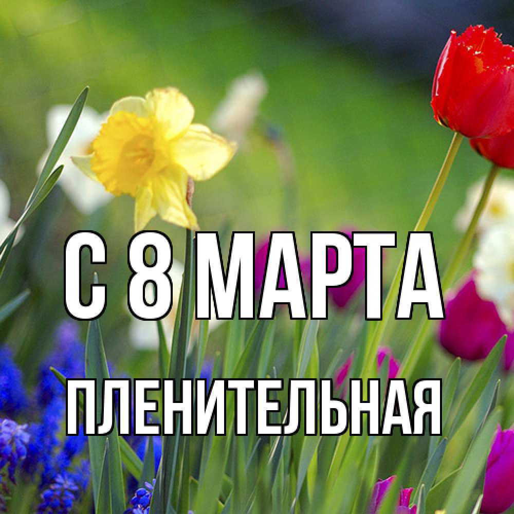 Открытка на каждый день с именем, пленительная C 8 МАРТА международный женский день 3 Прикольная открытка с пожеланием онлайн скачать бесплатно 