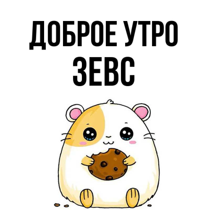 Картинка Доброе утро, Зевс