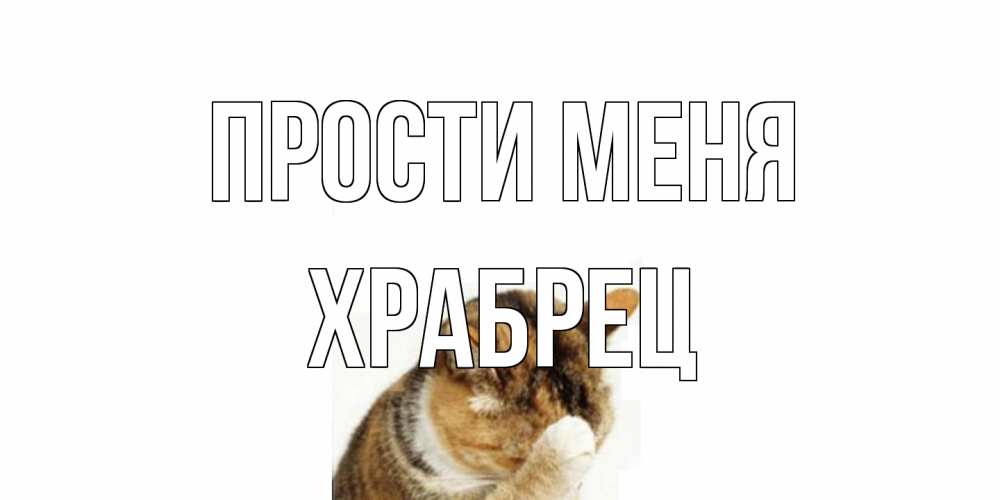 Открытка на каждый день с именем, Храбрец Прости меня кот Прикольная открытка с пожеланием онлайн скачать бесплатно 