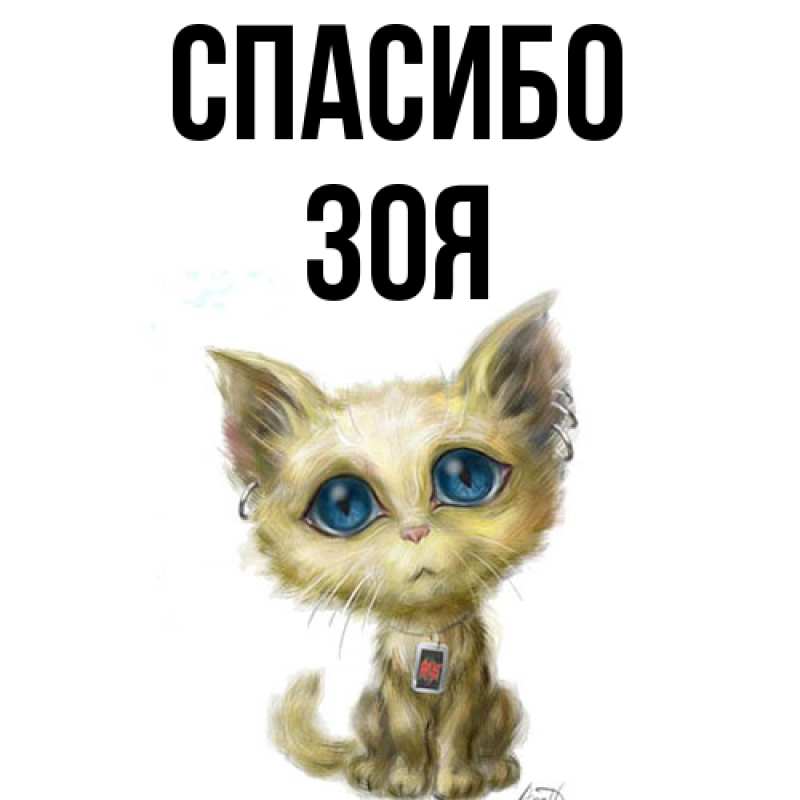 Картинка Спасибо, Зоя