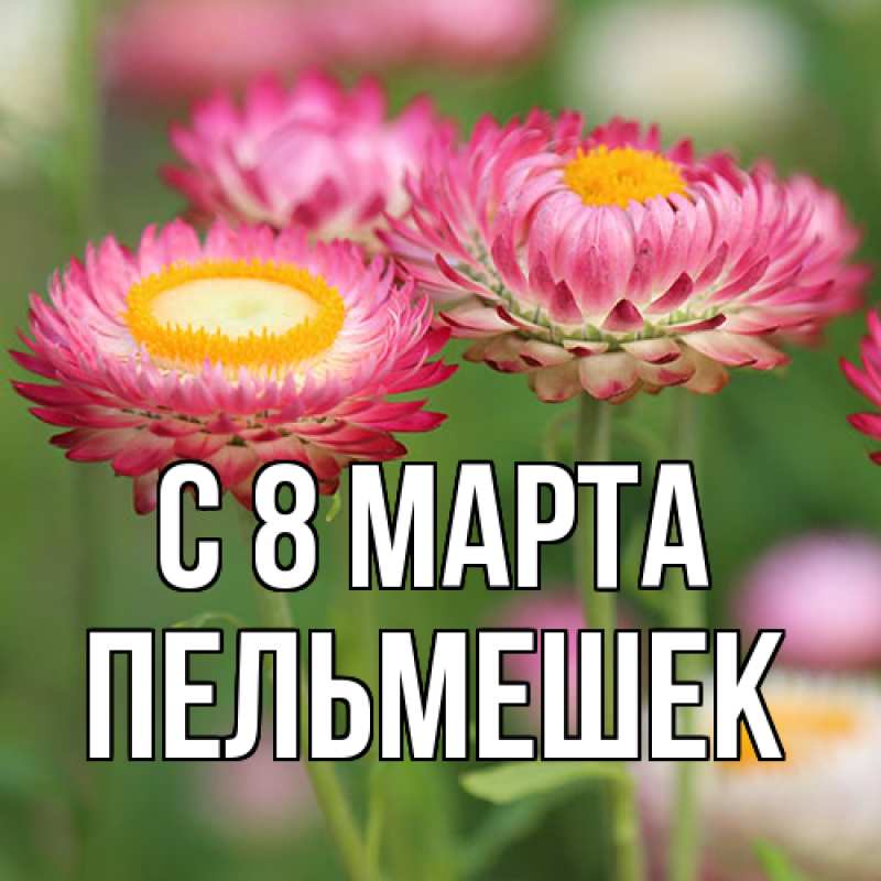Картинка C 8 МАРТА, пельмешек