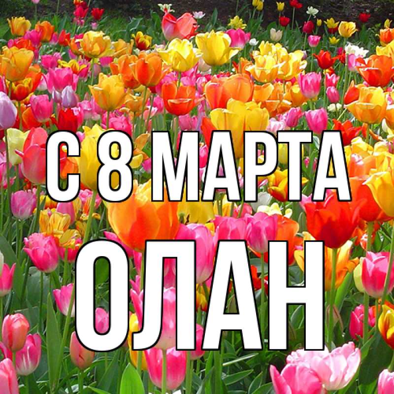 Картинка C 8 МАРТА, Олан