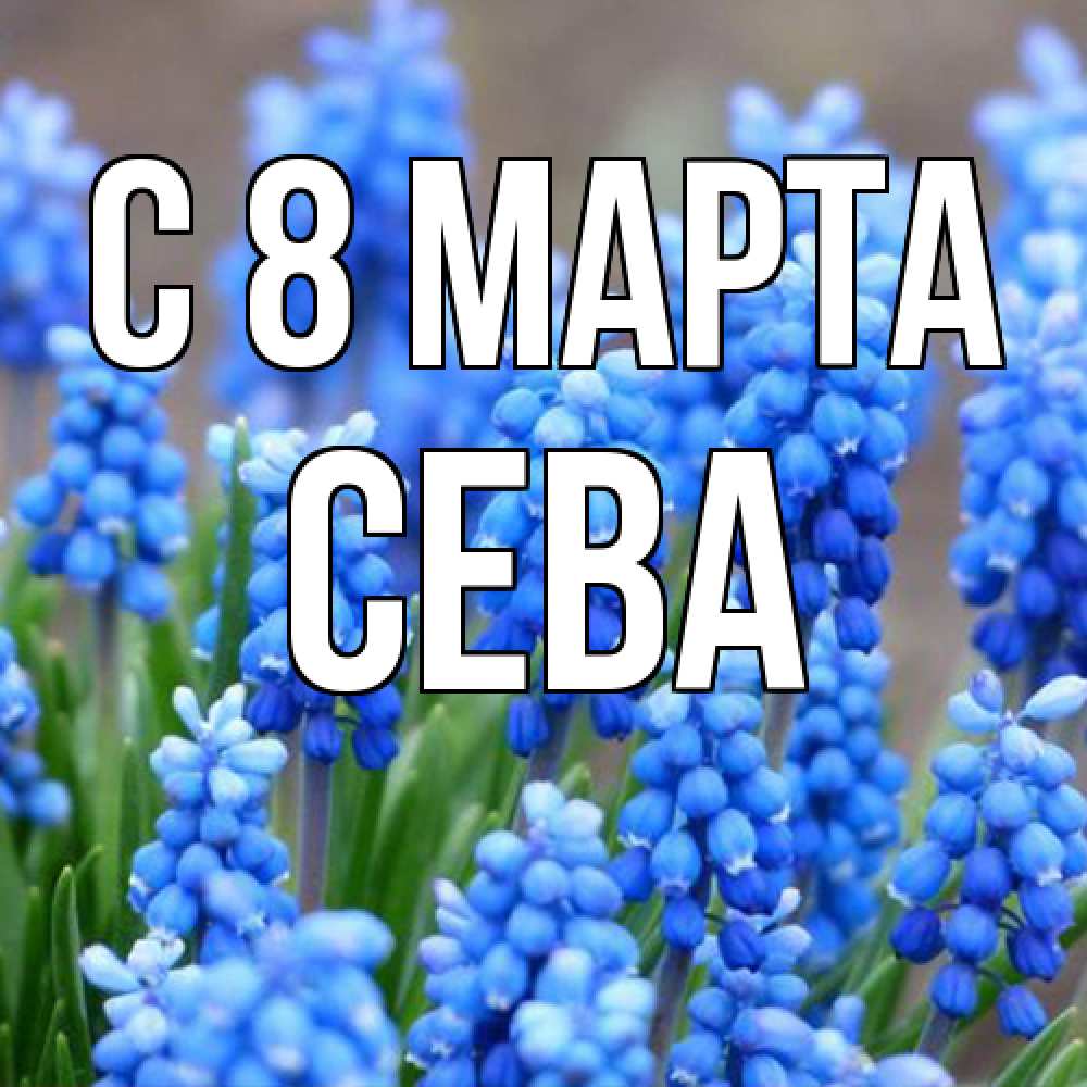 Открытка на каждый день с именем, Сева C 8 МАРТА Поздравительная открытка для женщин с цветами на праздничную дату Прикольная открытка с пожеланием онлайн скачать бесплатно 