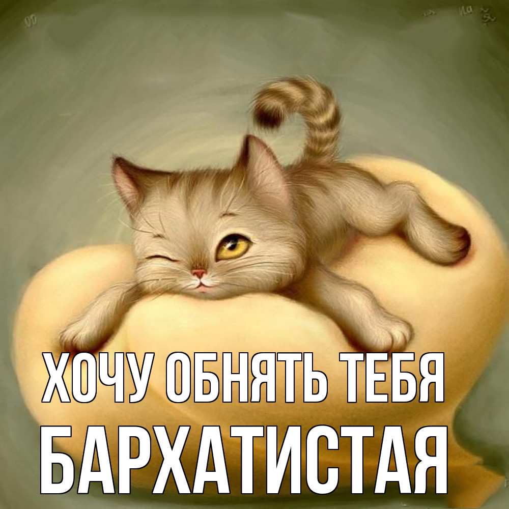 Открытка на каждый день с именем, Бархатистая Хочу обнять тебя кошечка Прикольная открытка с пожеланием онлайн скачать бесплатно 