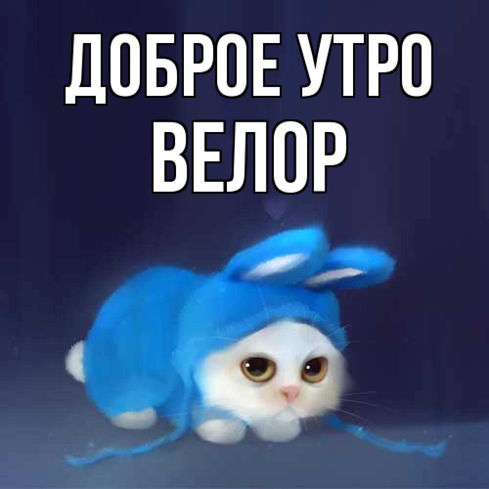 Открытка на каждый день с именем, Велор Доброе утро открытки красивые скачать бесплатно Прикольная открытка с пожеланием онлайн скачать бесплатно 
