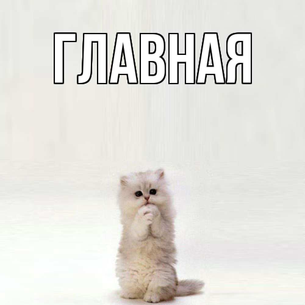 Открытка на каждый день с именем, настя Главная открытки с креативными подписями Прикольная открытка с пожеланием онлайн скачать бесплатно 