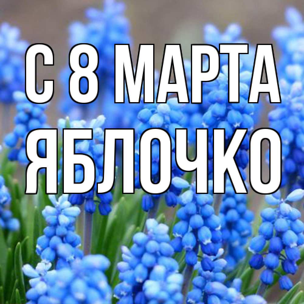 Открытка на каждый день с именем, яблочко C 8 МАРТА Поздравительная открытка для женщин с цветами на праздничную дату Прикольная открытка с пожеланием онлайн скачать бесплатно 