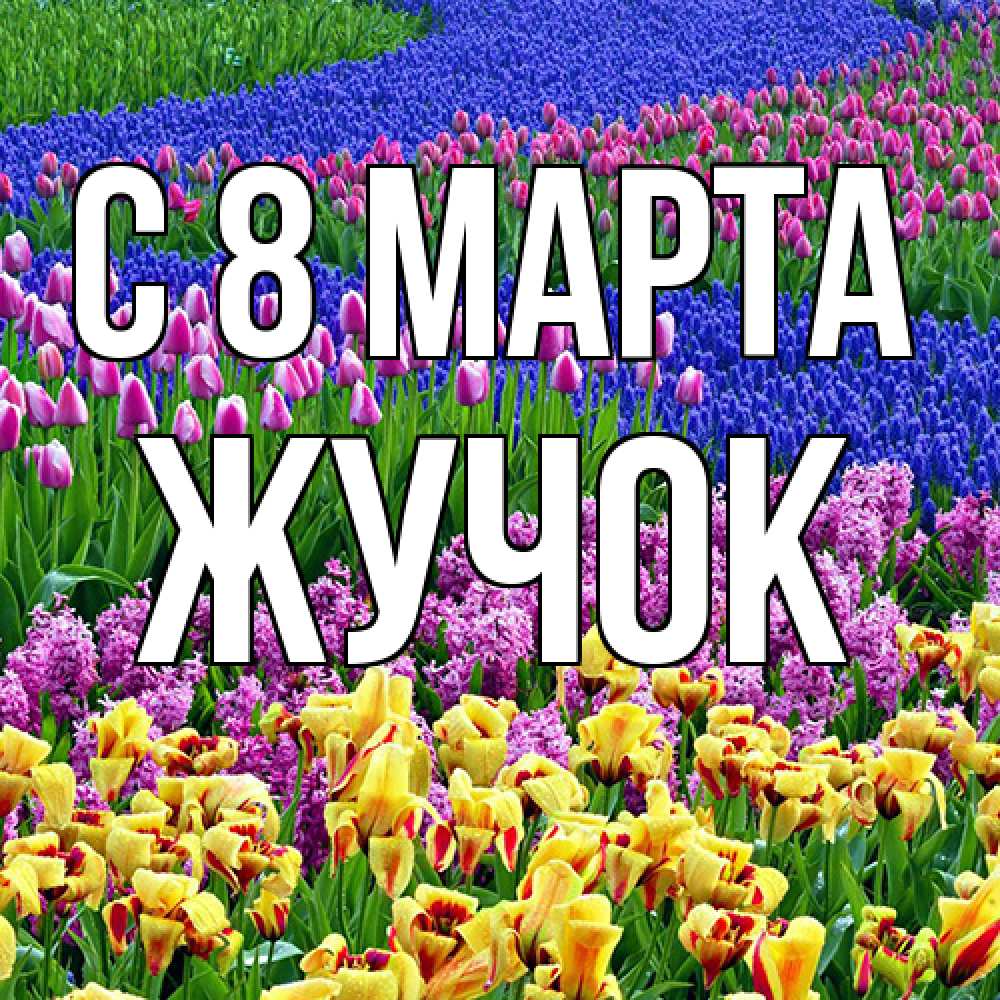 Открытка на каждый день с именем, жучок C 8 МАРТА цветы Прикольная открытка с пожеланием онлайн скачать бесплатно 