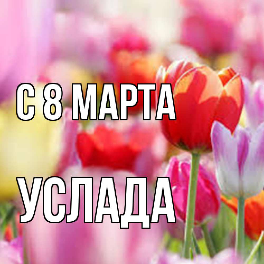 Открытка на каждый день с именем, услада C 8 МАРТА на международный женский день 2 Прикольная открытка с пожеланием онлайн скачать бесплатно 