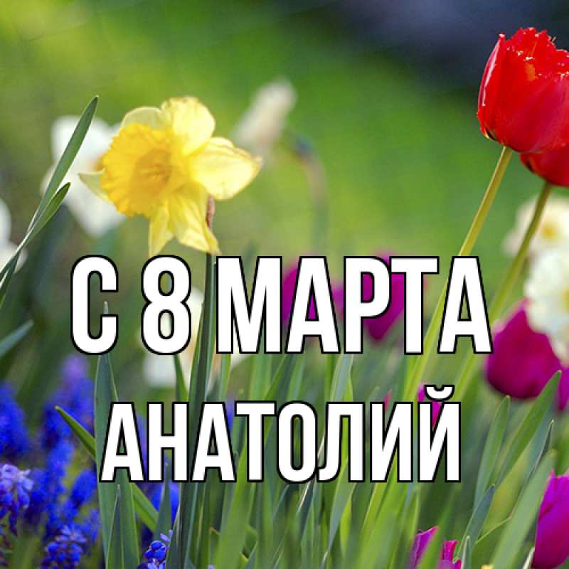 Картинка C 8 МАРТА, Анатолий