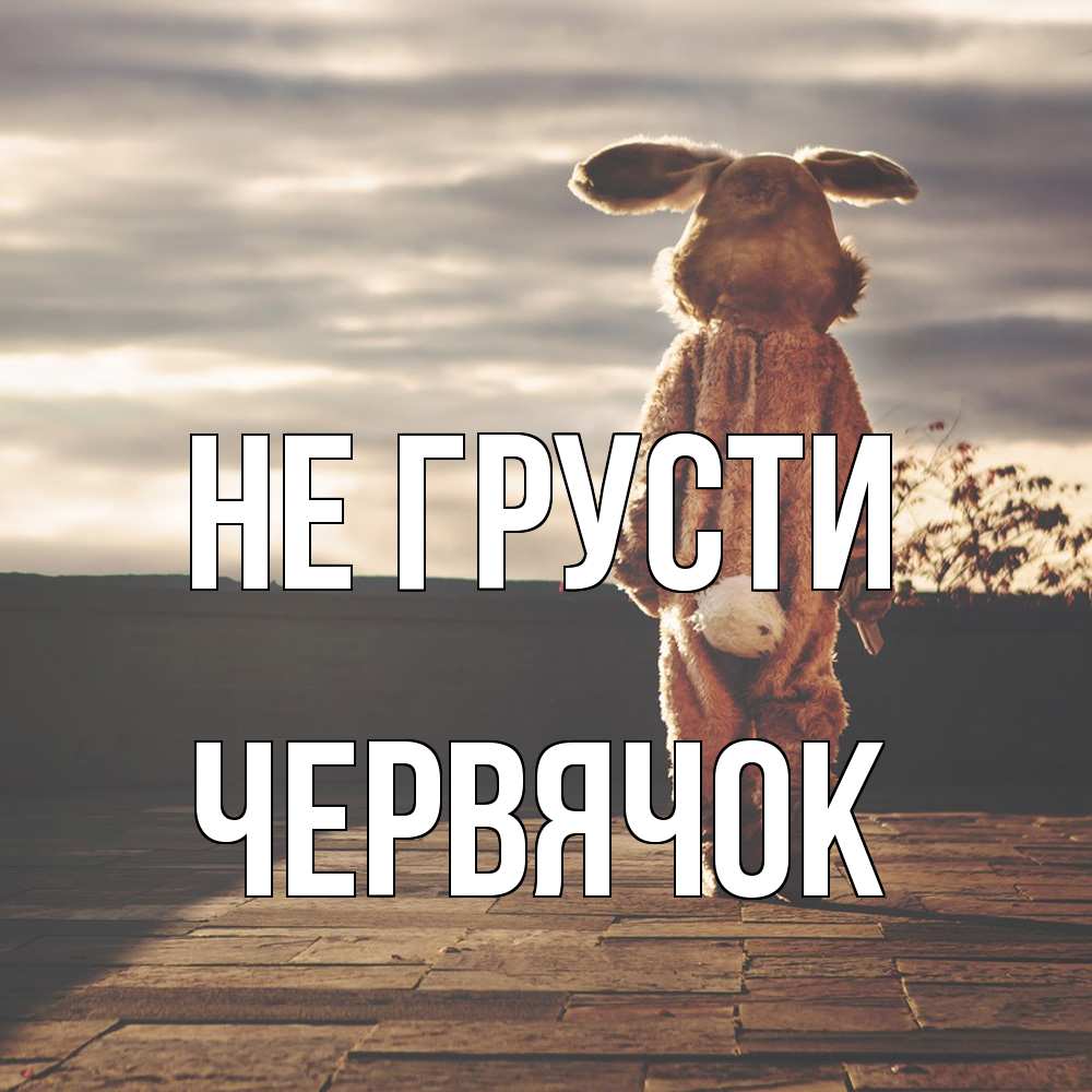 Открытка на каждый день с именем, Червячок Не грусти со спины Прикольная открытка с пожеланием онлайн скачать бесплатно 