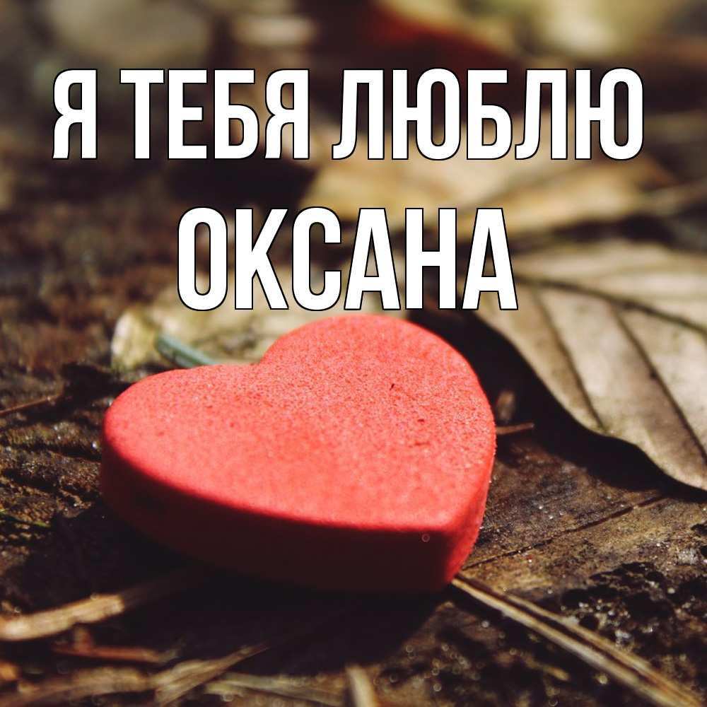 Открытка на каждый день с именем, Оксана Я тебя люблю листья деревье 4 Прикольная открытка с пожеланием онлайн скачать бесплатно 