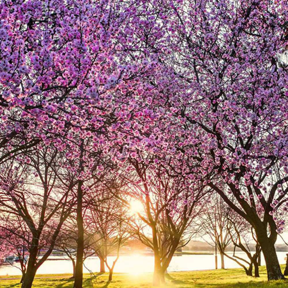 Открытка на каждый день с именем, Бурундук C 8 МАРТА международный женский день Прикольная открытка с пожеланием онлайн скачать бесплатно 