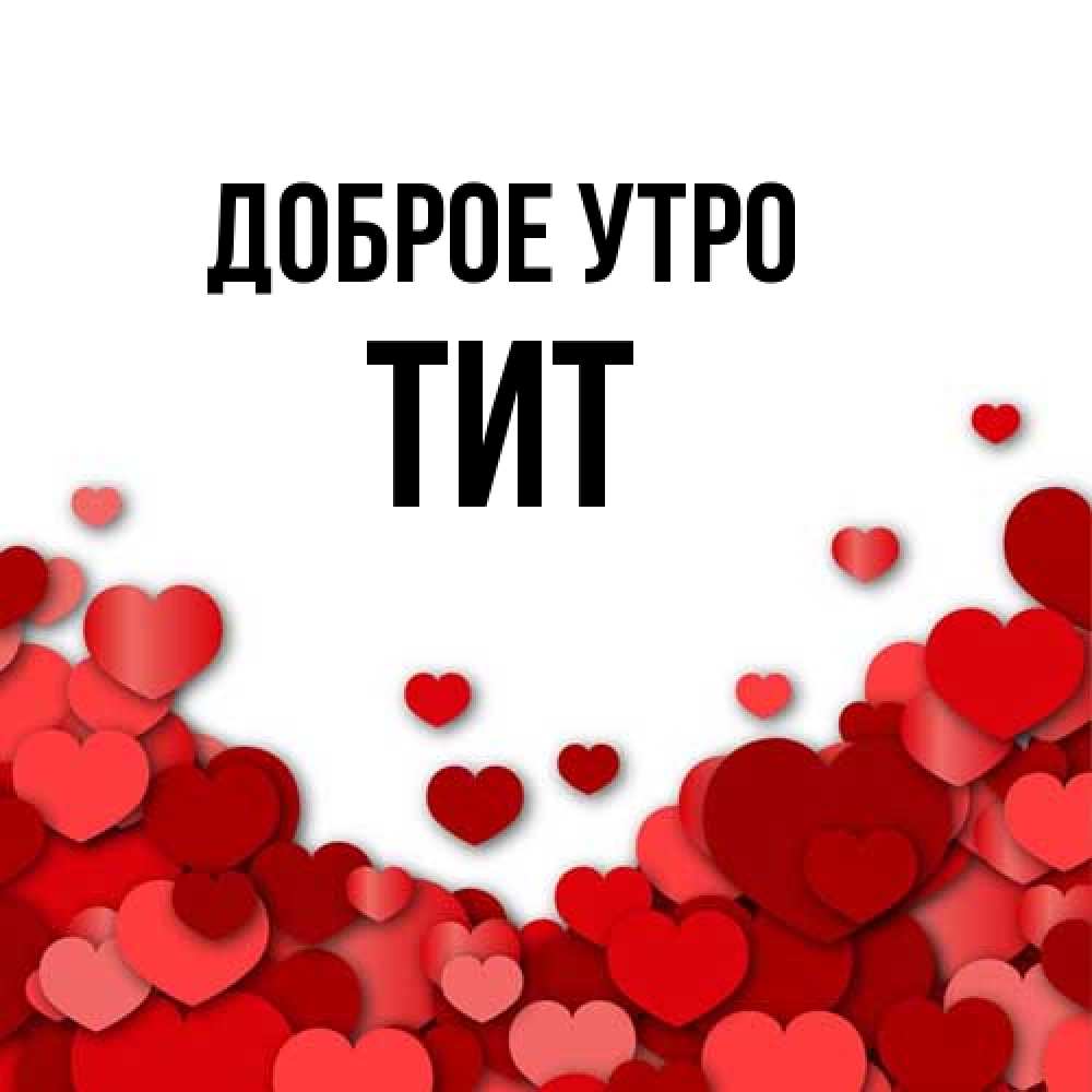 Открытка на каждый день с именем, Тит Доброе утро хорошего настроения Прикольная открытка с пожеланием онлайн скачать бесплатно 