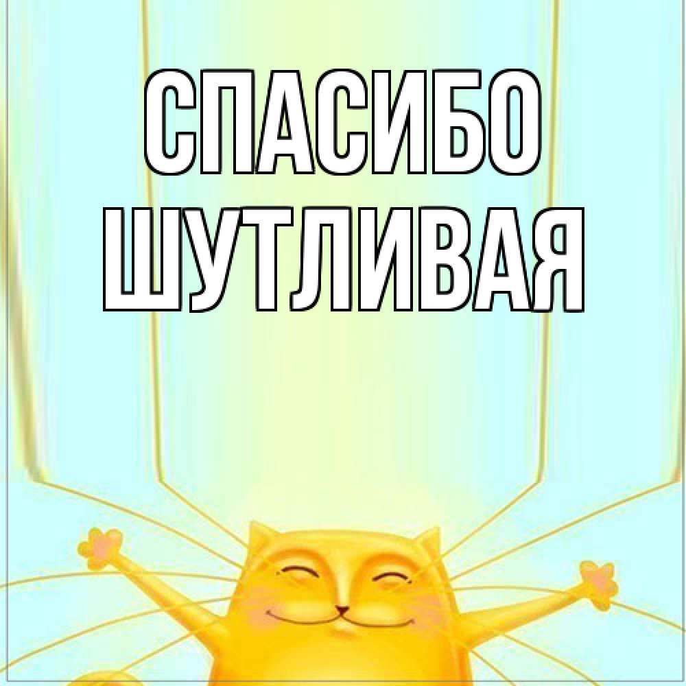 Открытка на каждый день с именем, Шутливая Спасибо кот с усами благодарит Прикольная открытка с пожеланием онлайн скачать бесплатно 