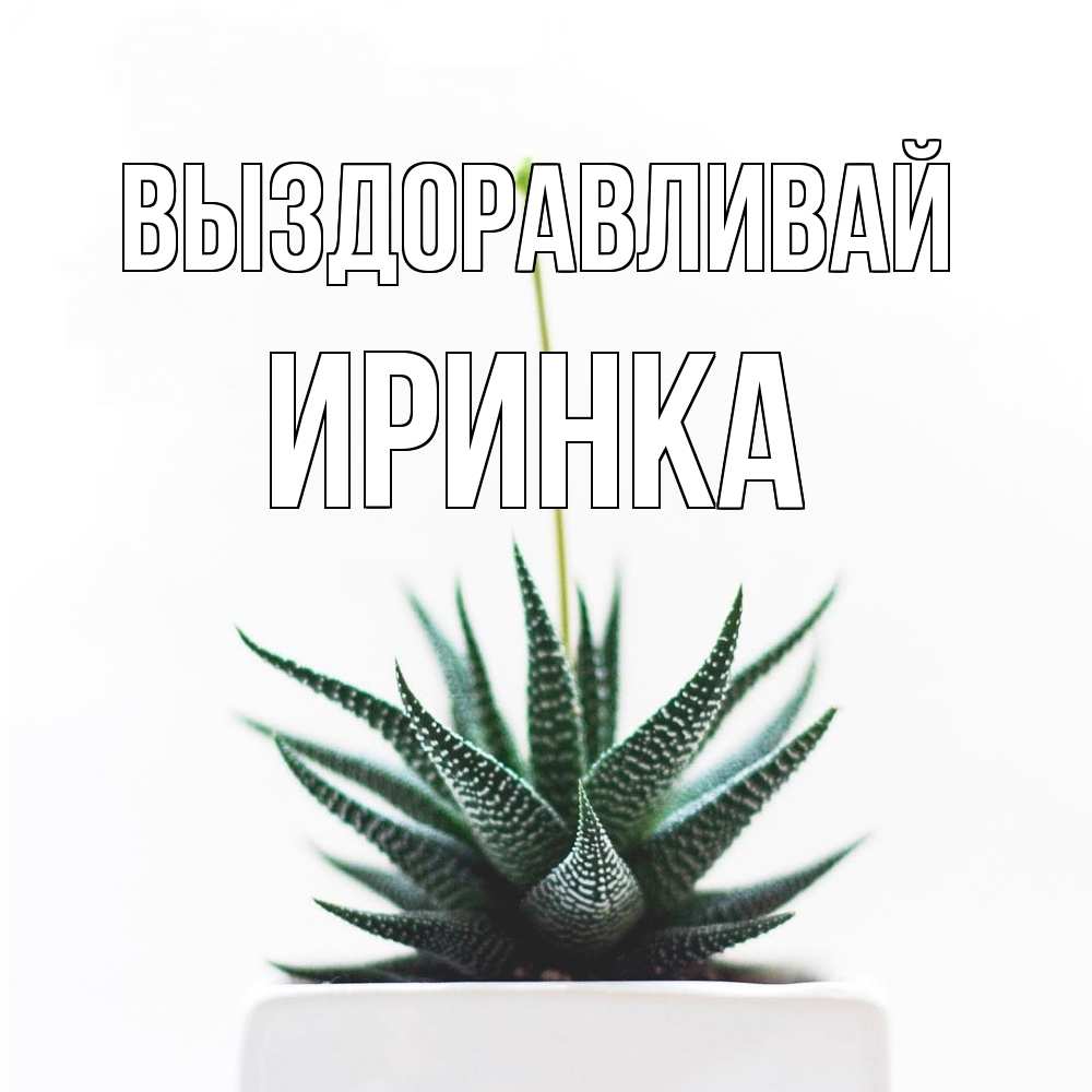 Открытка на каждый день с именем, Иринка Выздоравливай короче это непонятная колючка Прикольная открытка с пожеланием онлайн скачать бесплатно 