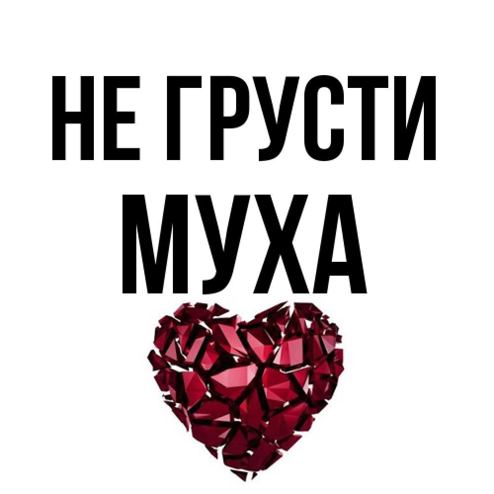 Открытка на каждый день с именем, Муха Не грусти рубиновое сердечко Прикольная открытка с пожеланием онлайн скачать бесплатно 