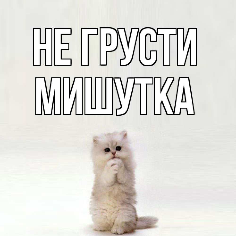 Открытка на каждый день с именем, Мишутка Не грусти грустный кот Прикольная открытка с пожеланием онлайн скачать бесплатно 