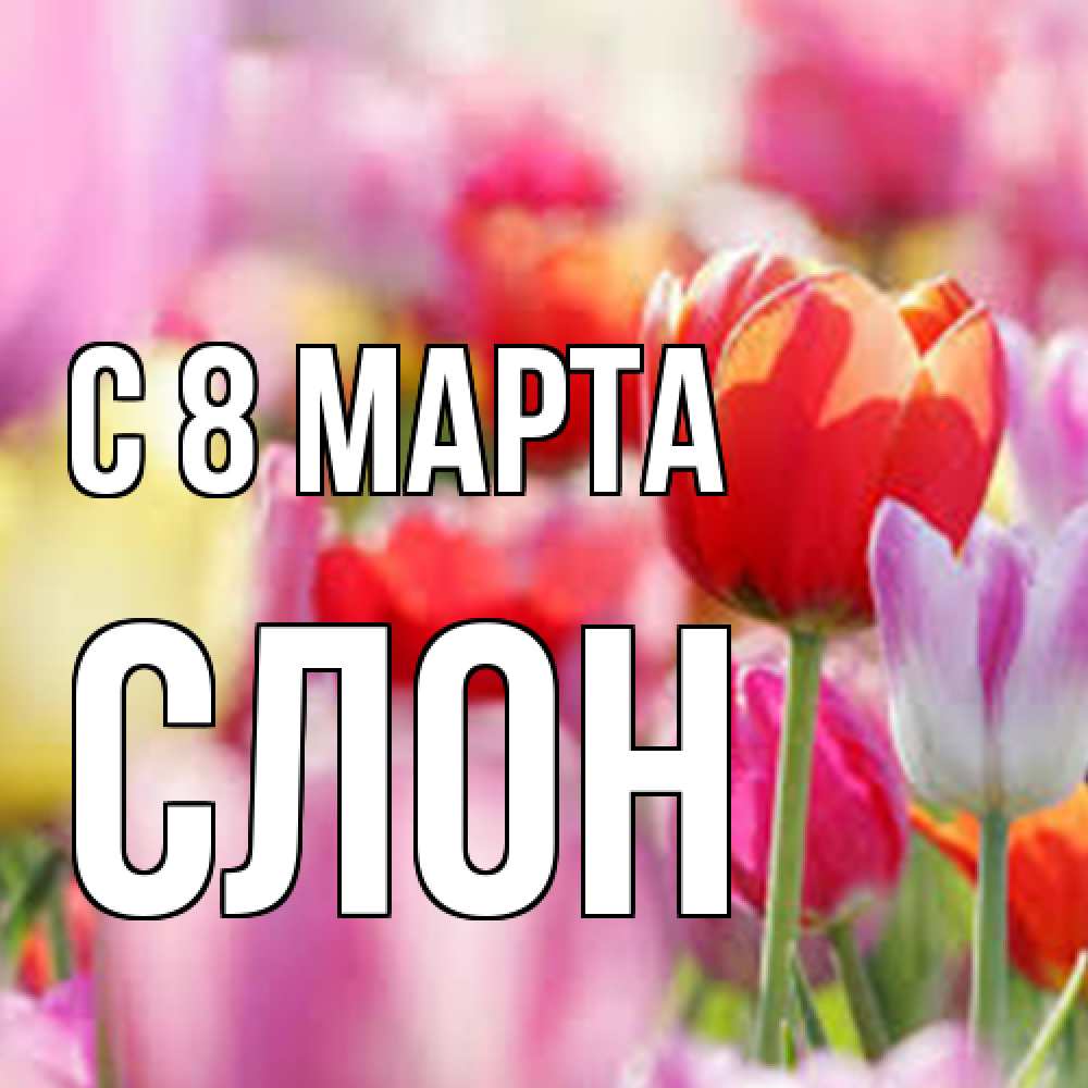 Открытка на каждый день с именем, Слон C 8 МАРТА на международный женский день 2 Прикольная открытка с пожеланием онлайн скачать бесплатно 