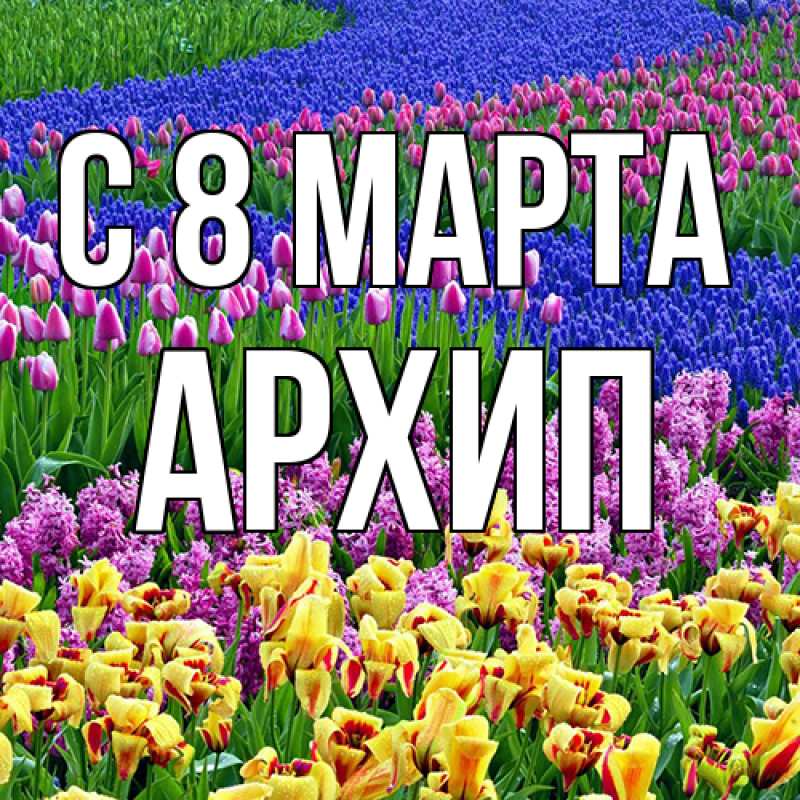 Картинка C 8 МАРТА, Архип