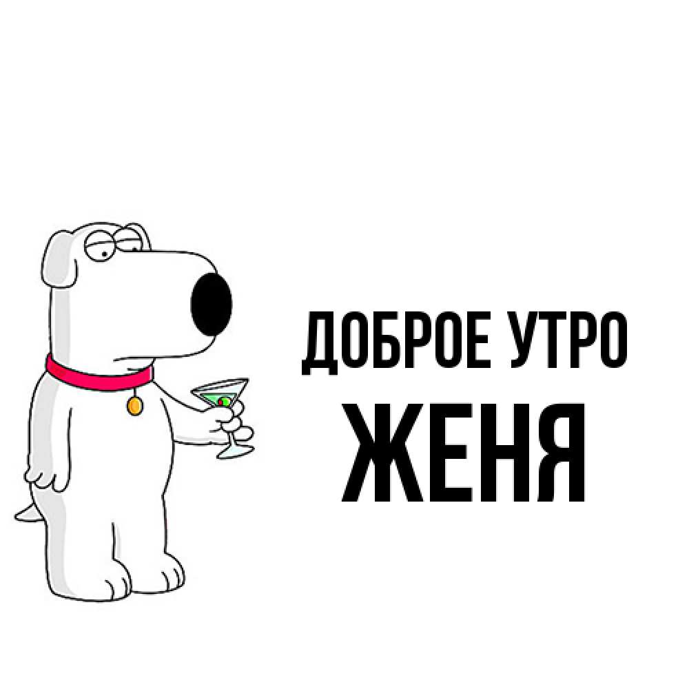 Открытка на каждый день с именем, Женя Доброе утро герои мультфильмов белый пес Прикольная открытка с пожеланием онлайн скачать бесплатно 