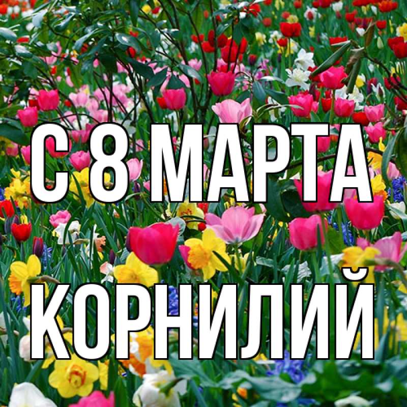 Картинка C 8 МАРТА, Корнилий