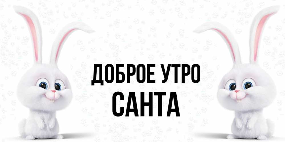 Открытка на каждый день с именем, Санта Доброе утро кролики с длинными ушками Прикольная открытка с пожеланием онлайн скачать бесплатно 