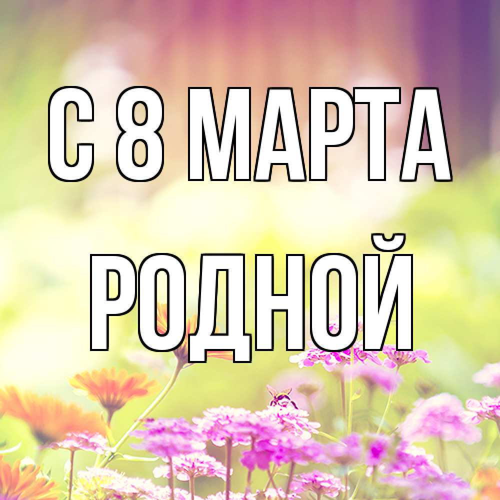 Открытка на каждый день с именем, Родной C 8 МАРТА цветы весна Прикольная открытка с пожеланием онлайн скачать бесплатно 