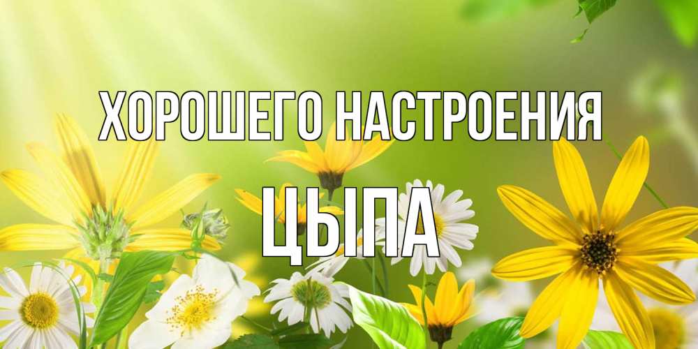 Открытка на каждый день с именем, Цыпа Хорошего настроения цветы Прикольная открытка с пожеланием онлайн скачать бесплатно 