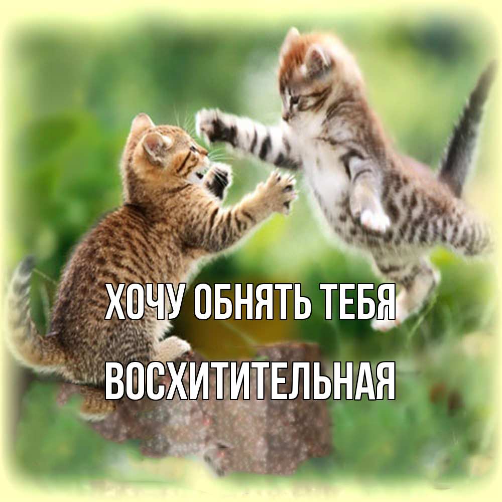 Открытка на каждый день с именем, восхитительная Хочу обнять тебя игры котят Прикольная открытка с пожеланием онлайн скачать бесплатно 