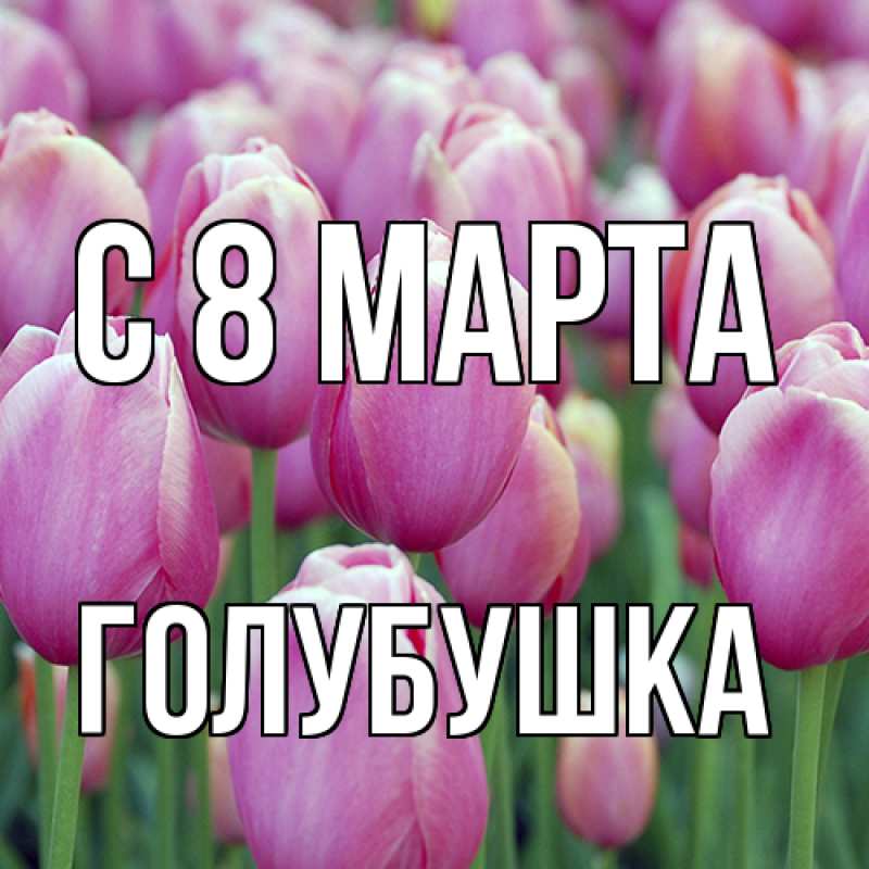 Картинка C 8 МАРТА, Голубушка