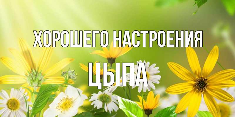 Картинка Хорошего настроения, Цыпа