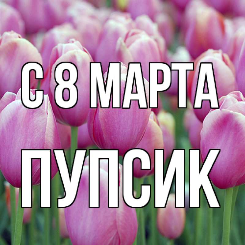 Картинка C 8 МАРТА, пупсик