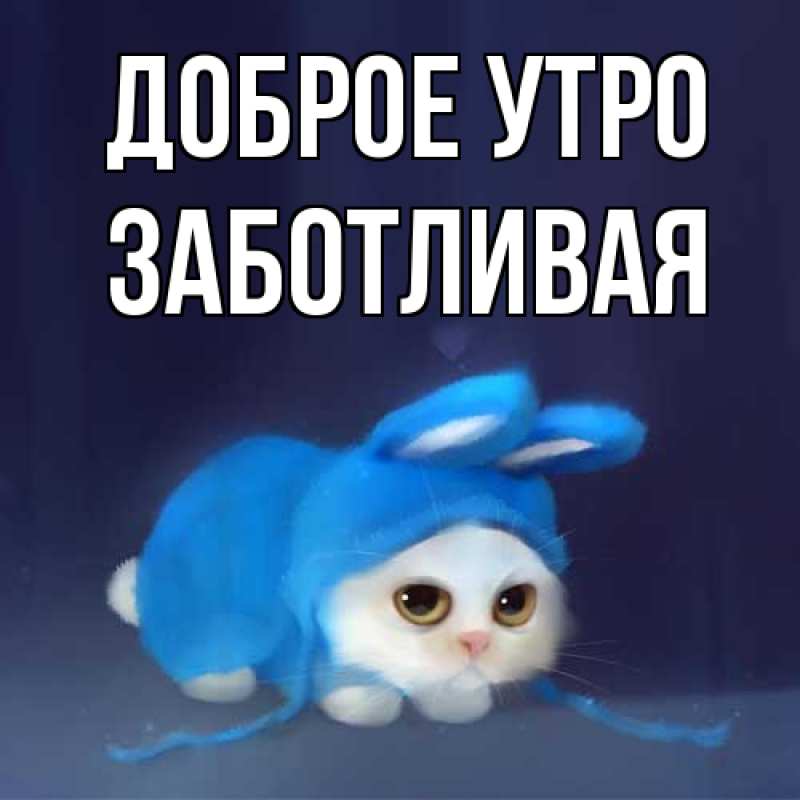 Картинка Доброе утро, Заботливая