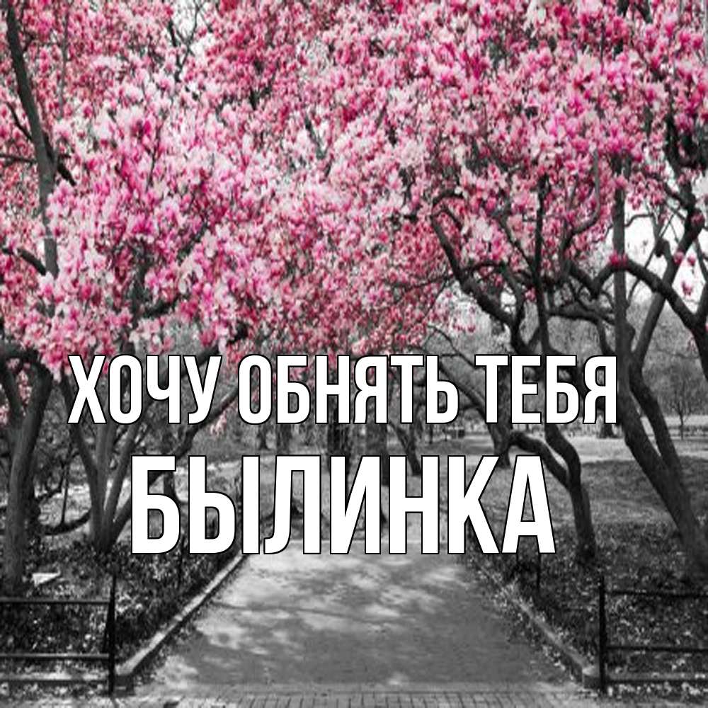 Открытка на каждый день с именем, былинка Хочу обнять тебя обработанное фото Прикольная открытка с пожеланием онлайн скачать бесплатно 