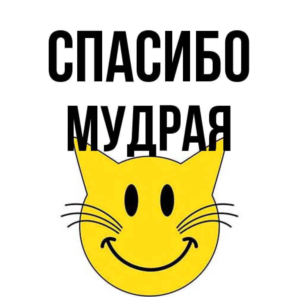 Открытка на каждый день с именем, мудрая Спасибо улыбающийся смайл кот Прикольная открытка с пожеланием онлайн скачать бесплатно 