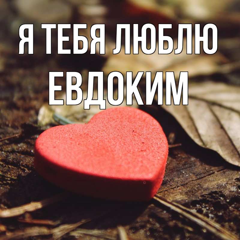 Картинка Я тебя люблю, Евдоким