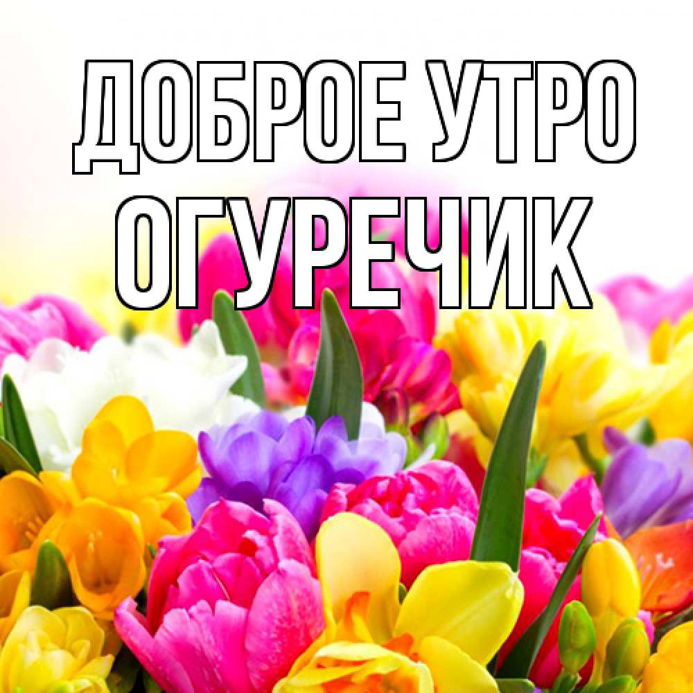 Открытка на каждый день с именем, Огуречик Доброе утро создать открытку со свое подписью Прикольная открытка с пожеланием онлайн скачать бесплатно 