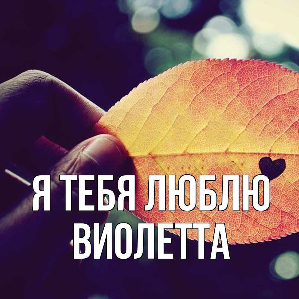 Открытка на каждый день с именем, Виолетта Я тебя люблю держу лист Прикольная открытка с пожеланием онлайн скачать бесплатно 